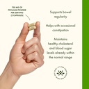 swanson-tri-fiber-complex-digestive-heal-4.jpg