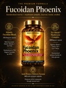 nature-s-bioscience-fucoidan-phoenix-adv-4.jpg