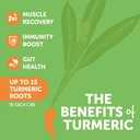 zyn-turmeric-wellness-drink-6-pack-mango-3.jpg