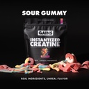 gains-in-bulk-instantized-creatine-monoh-3.jpg