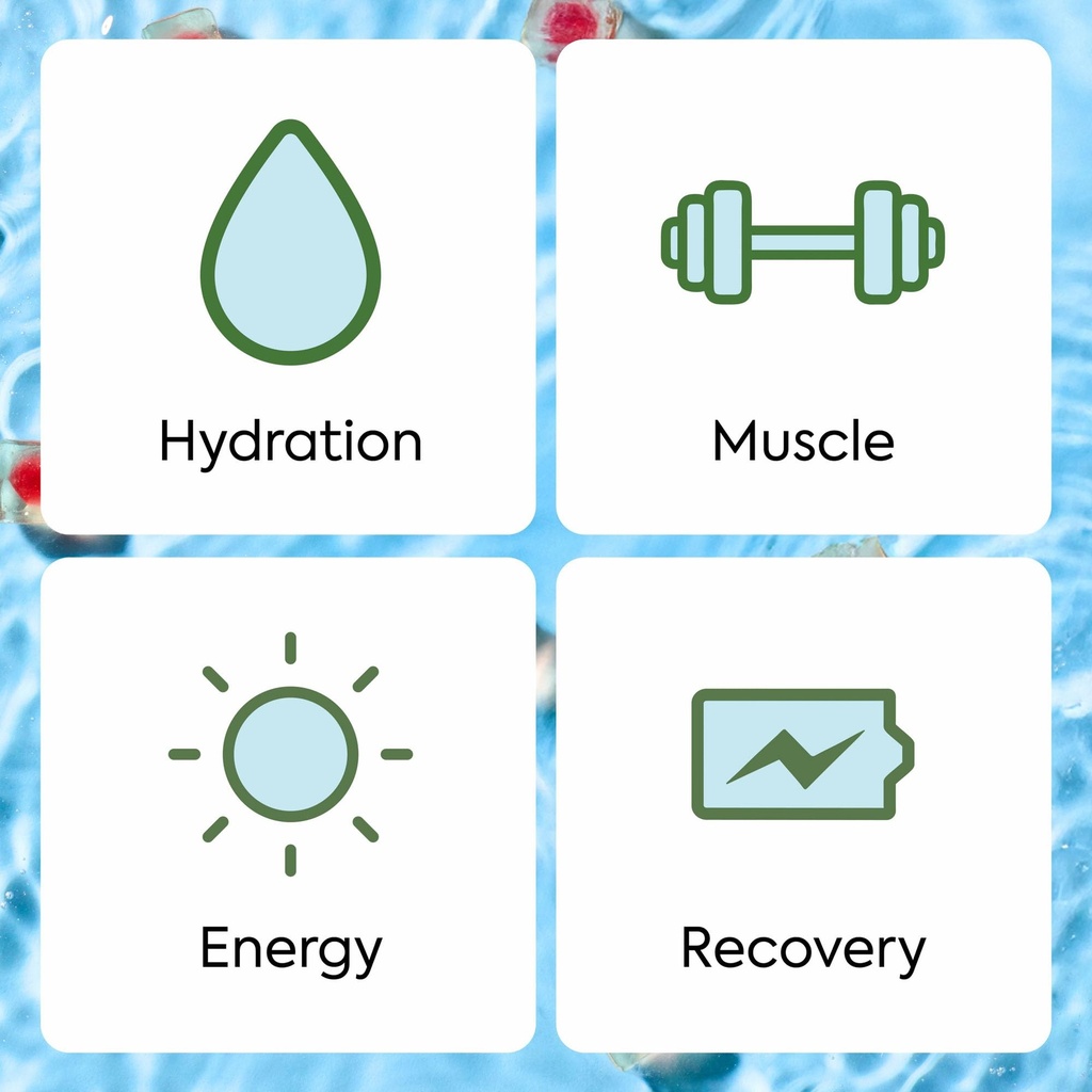 plant-people-wonderhydrate-sugar-free-el-4.jpg