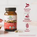 organic-india-triphala-herbal-supplement-2.jpg