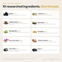 formulation-factory-self-obsessed-x-hear-2.jpg