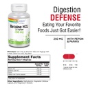 solaray-betaine-hcl-with-pepsin-250-mg-s-3.jpg
