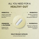 sandhus-gut-health---prebiotic-probiotic-6.jpg