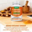 turmeric-curcumin-supplement-2400mg-turm-4.jpg