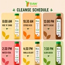 5-day-protein-juice-cleanse-by-raw-fount-4.jpg