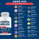 new-age-amino-acid-complex-20-aminos-wit-2.jpg