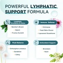 imatchme-lymphatic-drainage-supplements--4.jpg