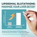 imatchme-lymphatic-drainage-supplements--6.jpg