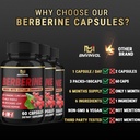 3-packs-berberine-supplement-plus-ceylon-5.jpg