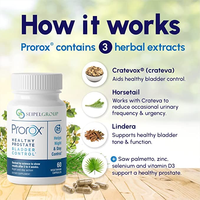 healthy-prostate-bladder-control-prostat-3.jpg