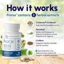 healthy-prostate-bladder-control-prostat-3.jpg
