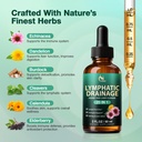 25-in-1-lymphatic-drainage-drops-lymphat-2.jpg