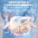lymphatic-drainage-supplement-with-echin-4.jpg