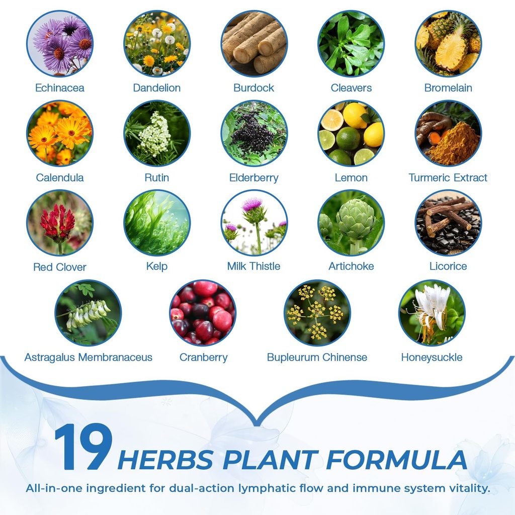 lymphatic-drainage-supplement-with-echin-2.jpg