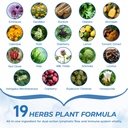lymphatic-drainage-supplement-with-echin-2.jpg