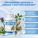 lymphatic-drainage-supplement-with-echin-5.jpg