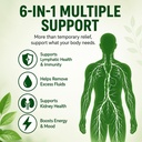 elavyn-lymphatic-drainage-drops-6-in-1-o-5.jpg