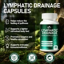 lymphatic-drainage-supplements-liver-cle-2.jpg