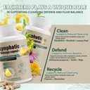 lymphatic-drainage-capsules-natural-herb-6.jpg