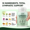 evertide-lymphatic-drainage-supplement-d-2.jpg