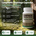 lymphatic-drainage-capsules-natural-herb-2.jpg