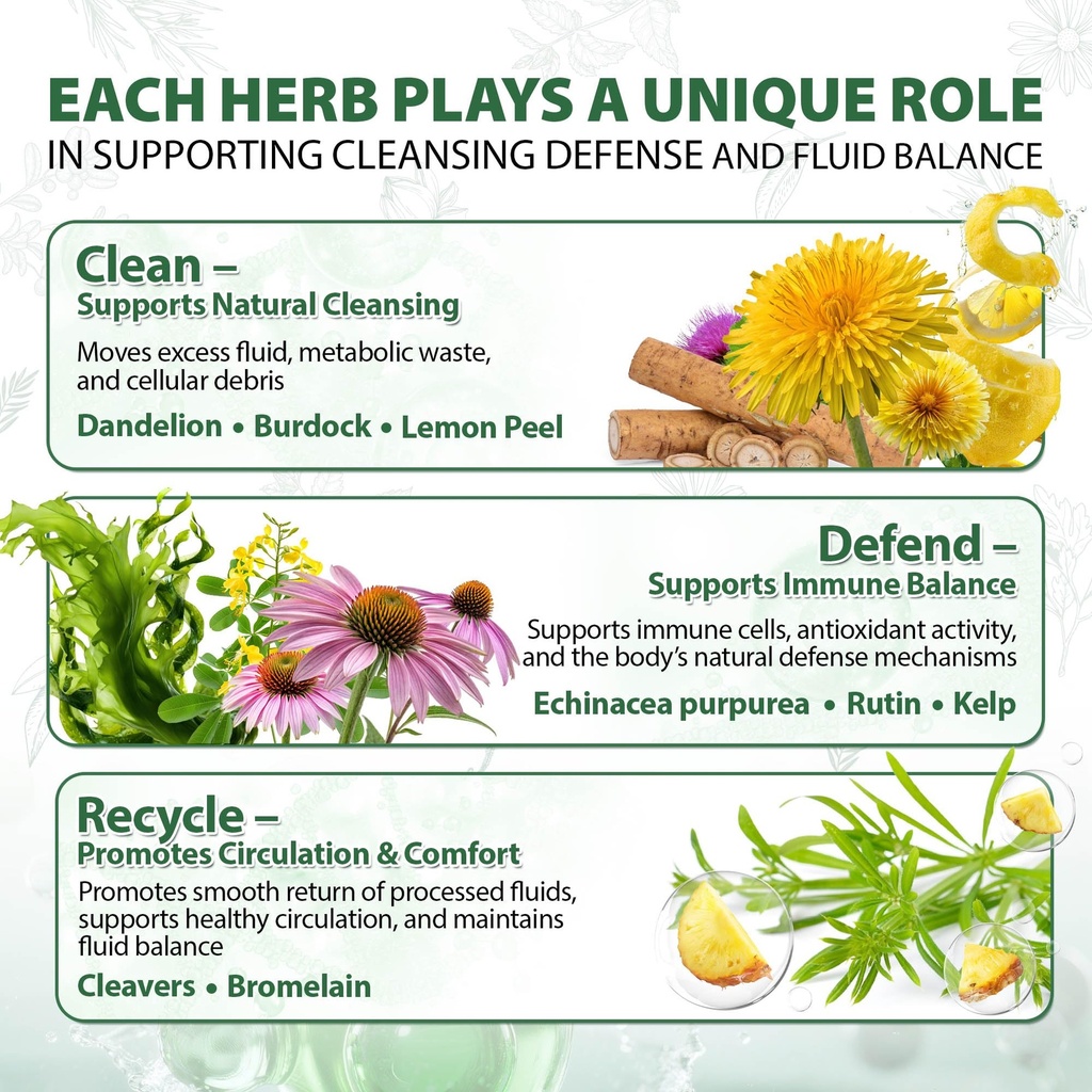 lymphatic-drainage-capsules-natural-herb-6.jpg
