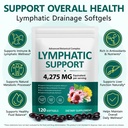 lymphatic-drainage-supplements-21-in-1-h-2.jpg