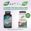 nature-s-way-echinacea-goldenseal-premiu-2.jpg