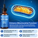 methylene-blue-1-for-brain-health-cognit-3.jpg