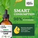 wild-organic-gymnema-sylvestre-extract-d-4.jpg