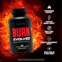 sculpt-nation-by-v-shred-burn-and-l-argi-2.jpg