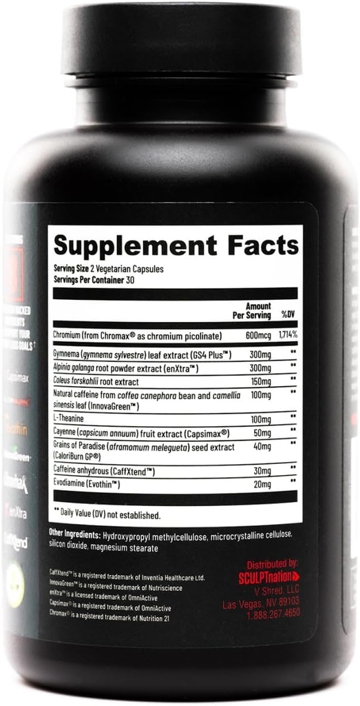 sculpt-nation-by-v-shred-burn-and-l-argi-6.jpg