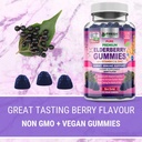 elderberry-gummies-and-natural-vitamin-c-3.jpg