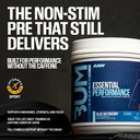 raw-essential-performance-non-stim-pre-w-4.jpg