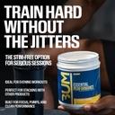 raw-essential-performance-non-stim-pre-w-6.jpg