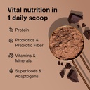 bodi-shakeology-whey-protein-powder-blen-2.jpg