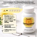 chrysanthemum-flower-extract-capsules-10-2.jpg