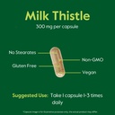 bestvite-milk-thistle-300mg-240-vegetari-5.jpg