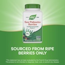 nature-s-way-saw-palmetto-berries-tradit-6.jpg