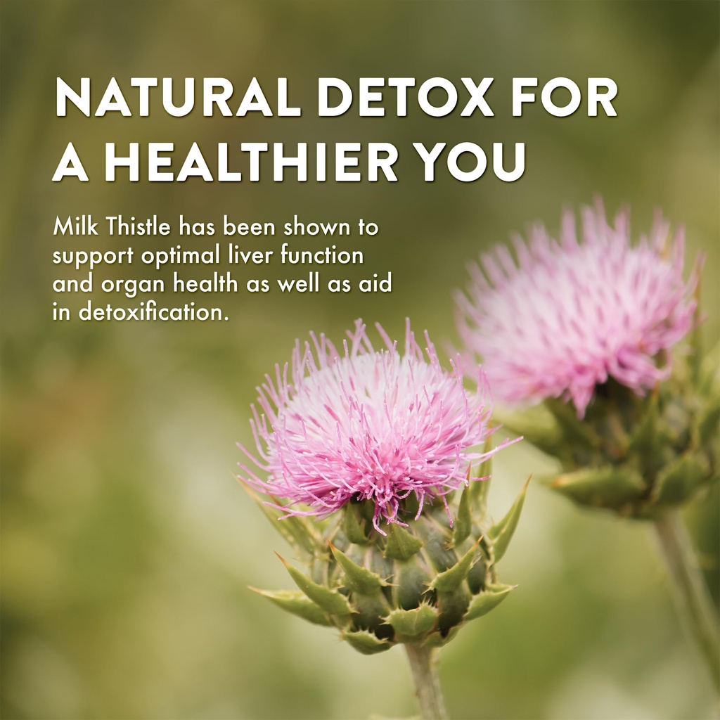 mt-angel-vitamins-milk-thistle-vegetaria-4.jpg