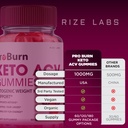 rize-labs-pro-burn-keto-acv-gummies-adva-6.jpg