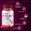 rize-labs-pro-burn-keto-acv-gummies-adva-4.jpg