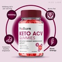rize-labs-pro-burn-keto-acv-gummies-adva-2.jpg