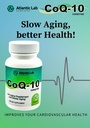 coenzyme-coq-10-anti-aging-and-slower-ag-4.jpg