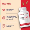 stop-aging-now-red-q10-coenzyme-coq10-su-3.jpg