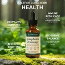 lymphatic-drainage-drops-lymphatic-syste-4.jpg