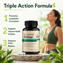 lymphatic-drainage-capsules-lymphatic-dr-4.jpg