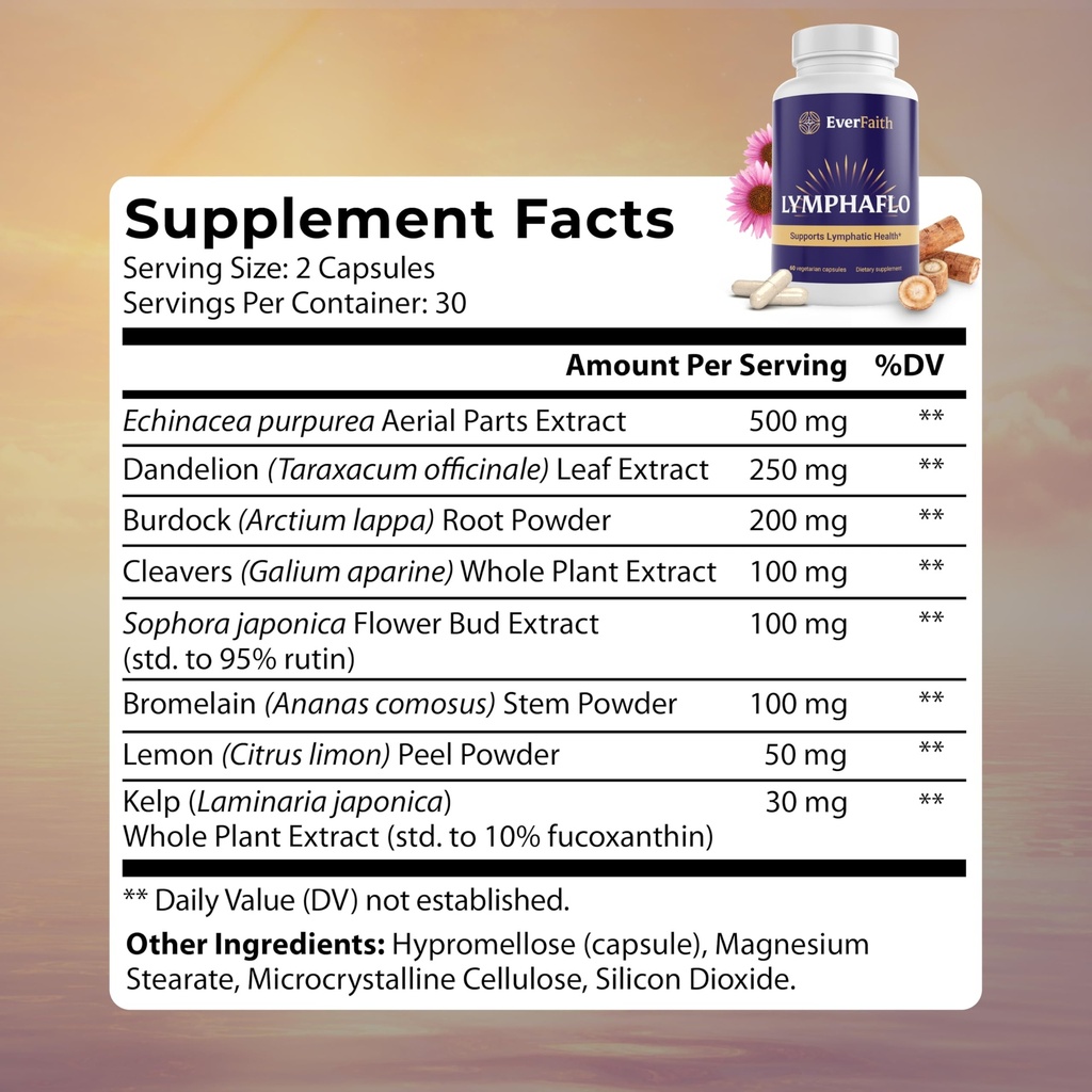 everfaith-lymphaflo-lymphatic-drainage-s-2.jpg